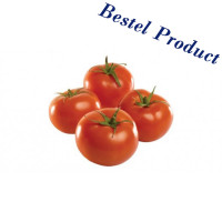 Pomodoro Tondo Insalataro /...