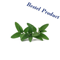 Salvia Fresca 1 Kg / Verse...