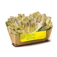 Carciofi Spicchi Orogel 2,5 kg