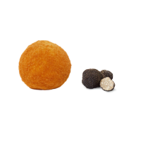TOP QUALITY - Arancino...