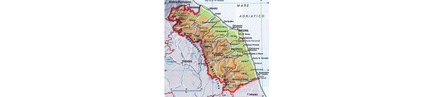Marche
