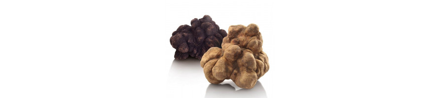 Truffel producten