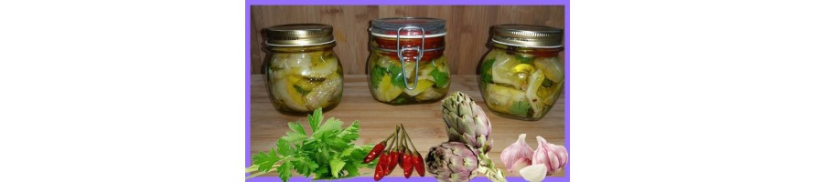 Conserve en sauzen