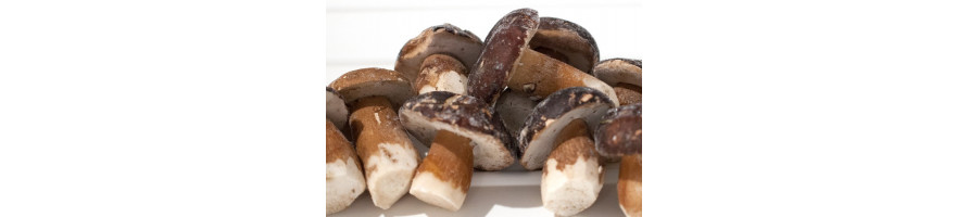 Paddestoelen diepvries