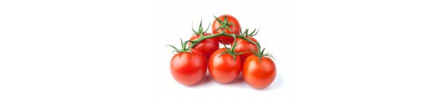 Tomaten