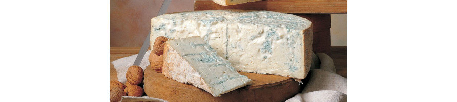 Gorgonzola, Blauwaderkazen