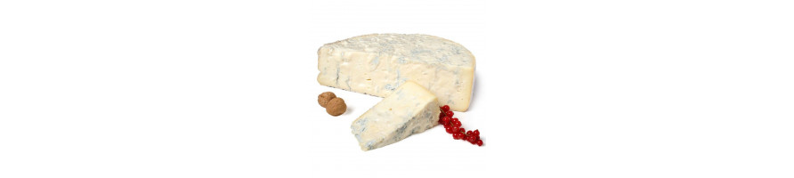Gorgonzola