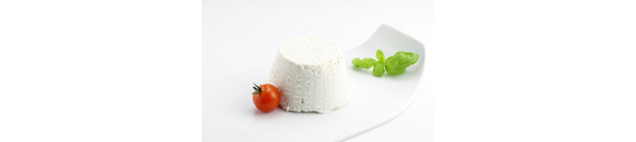 Ricotta