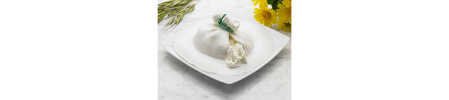 Burrata