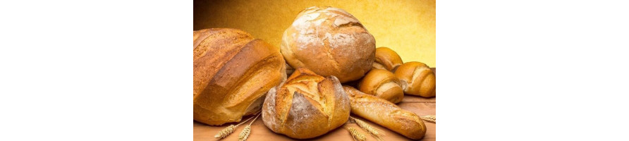 Brood diepvries