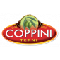 Oleificio Coppini
