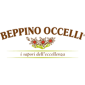 Beppino Occelli
