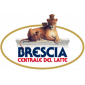 Azzocchi Roberto